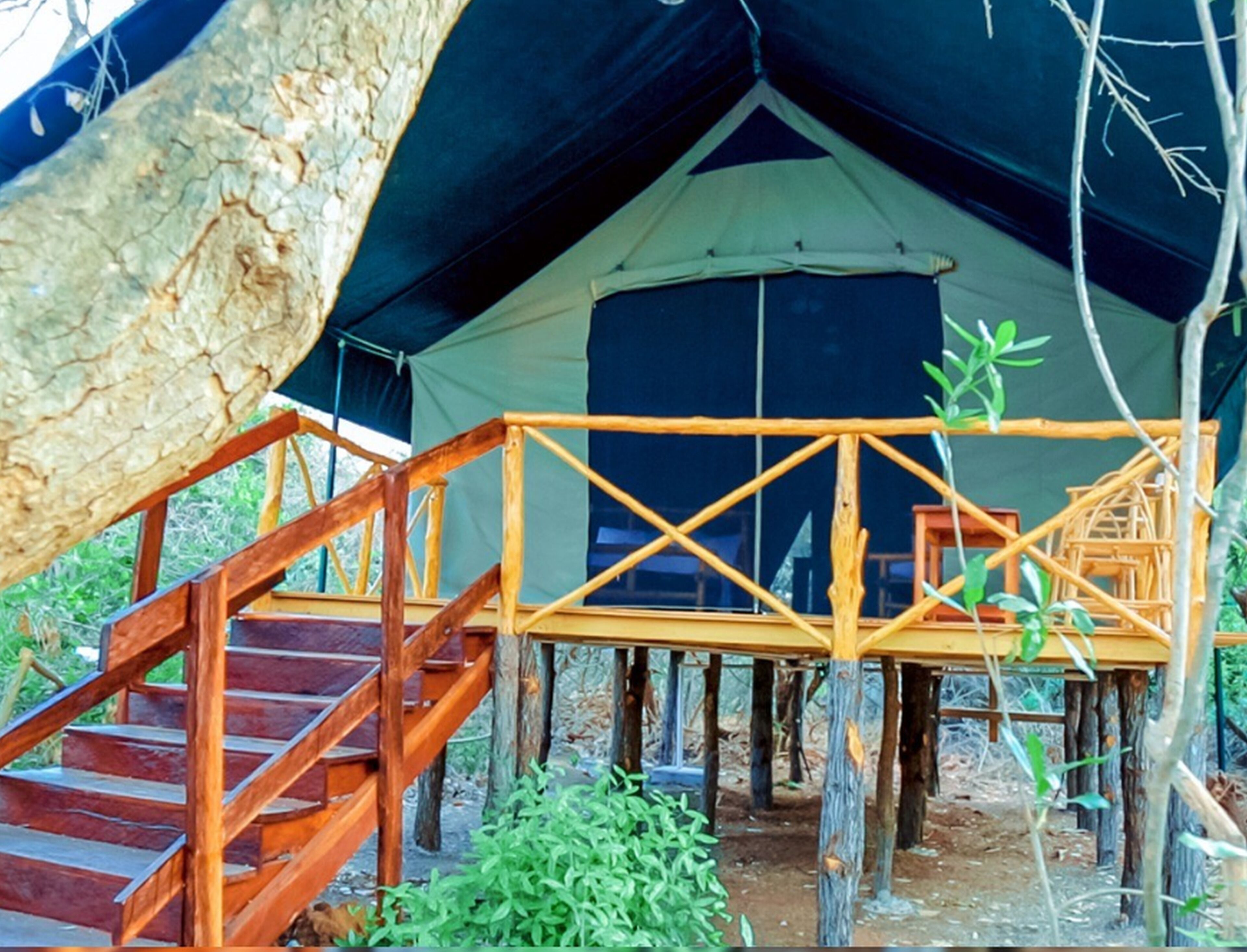 Raised canvas accommodation with timber steps among mature trees