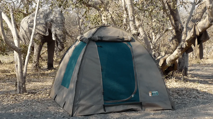 Camping