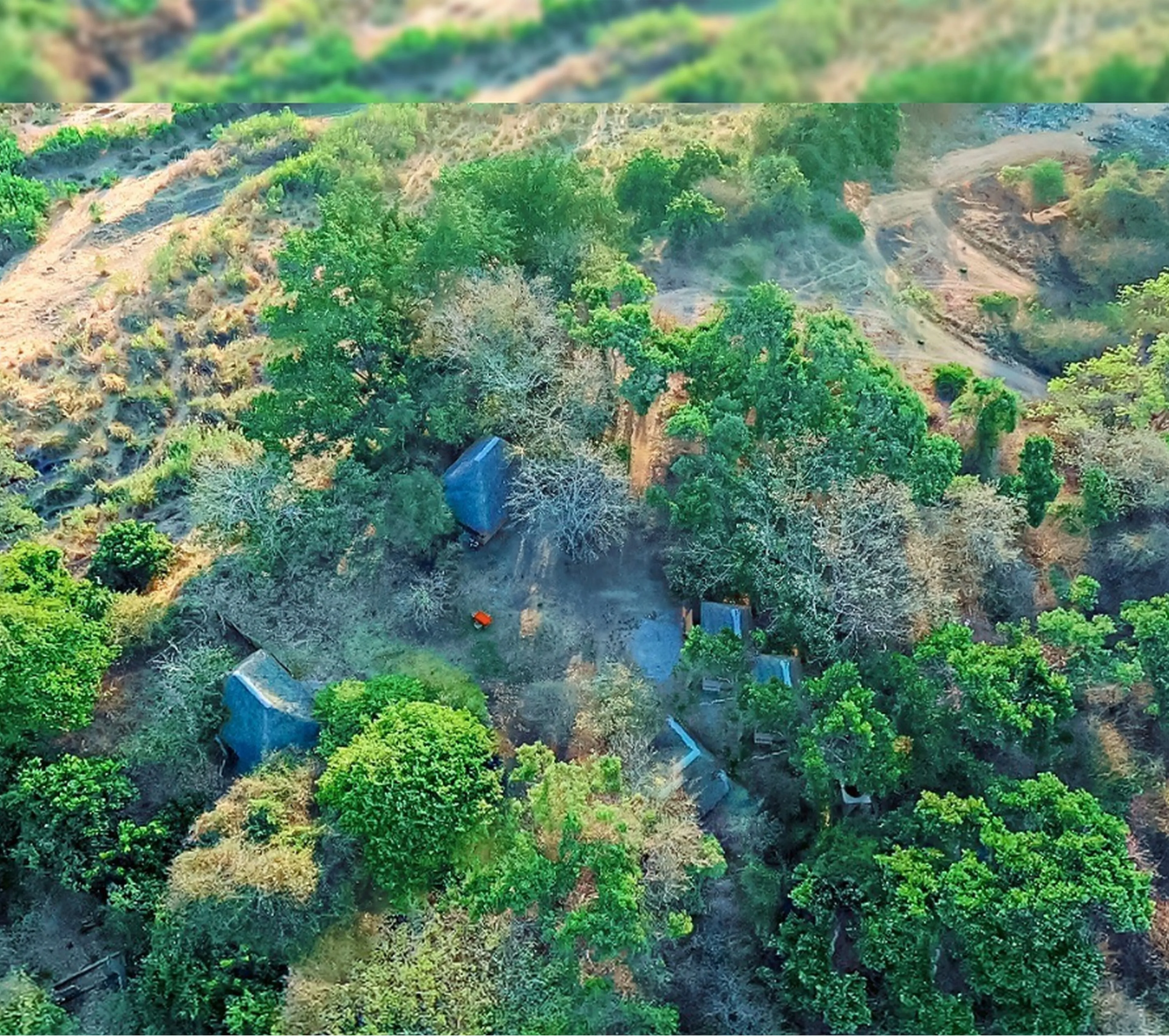 Aerial view of the camp property and surrounding vegetation
