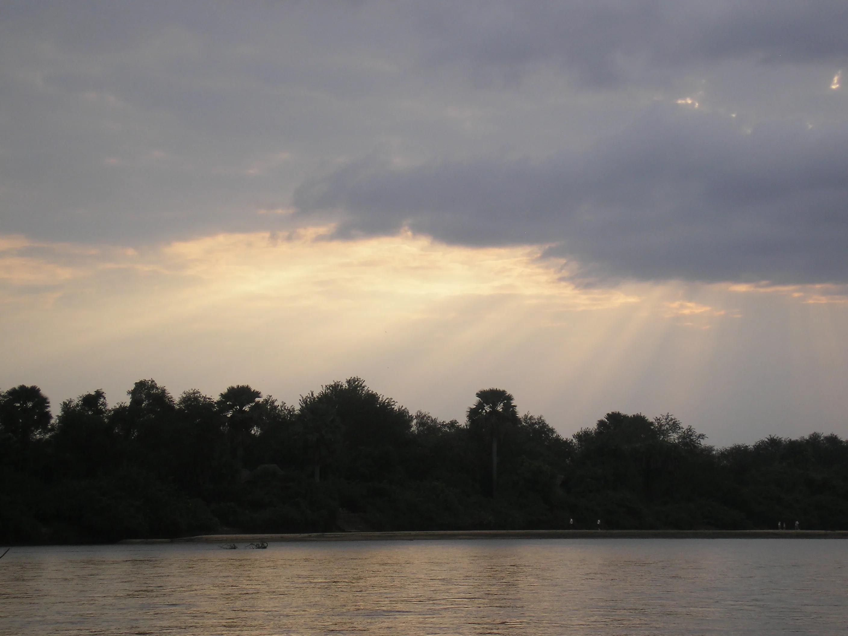 Calm Rufiji River and wooded banks in the Selous region