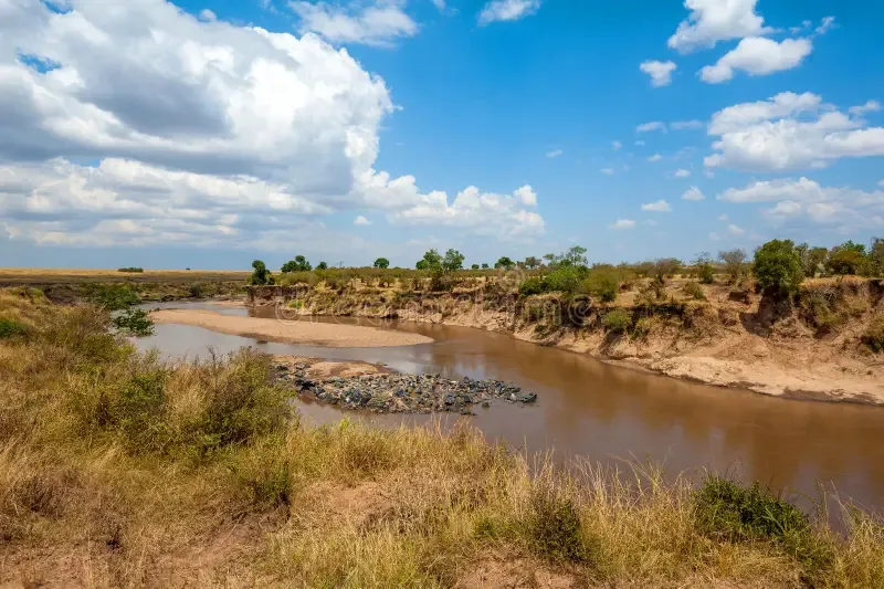 Broad river landscape bordered by green vegetation