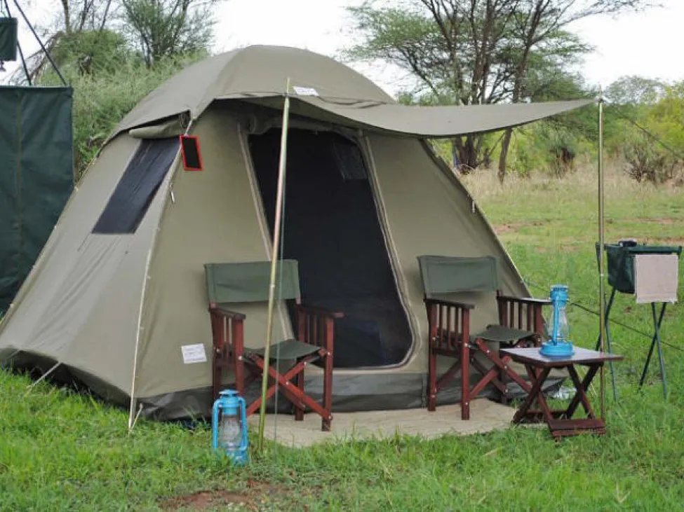 Camp property exterior set among trees