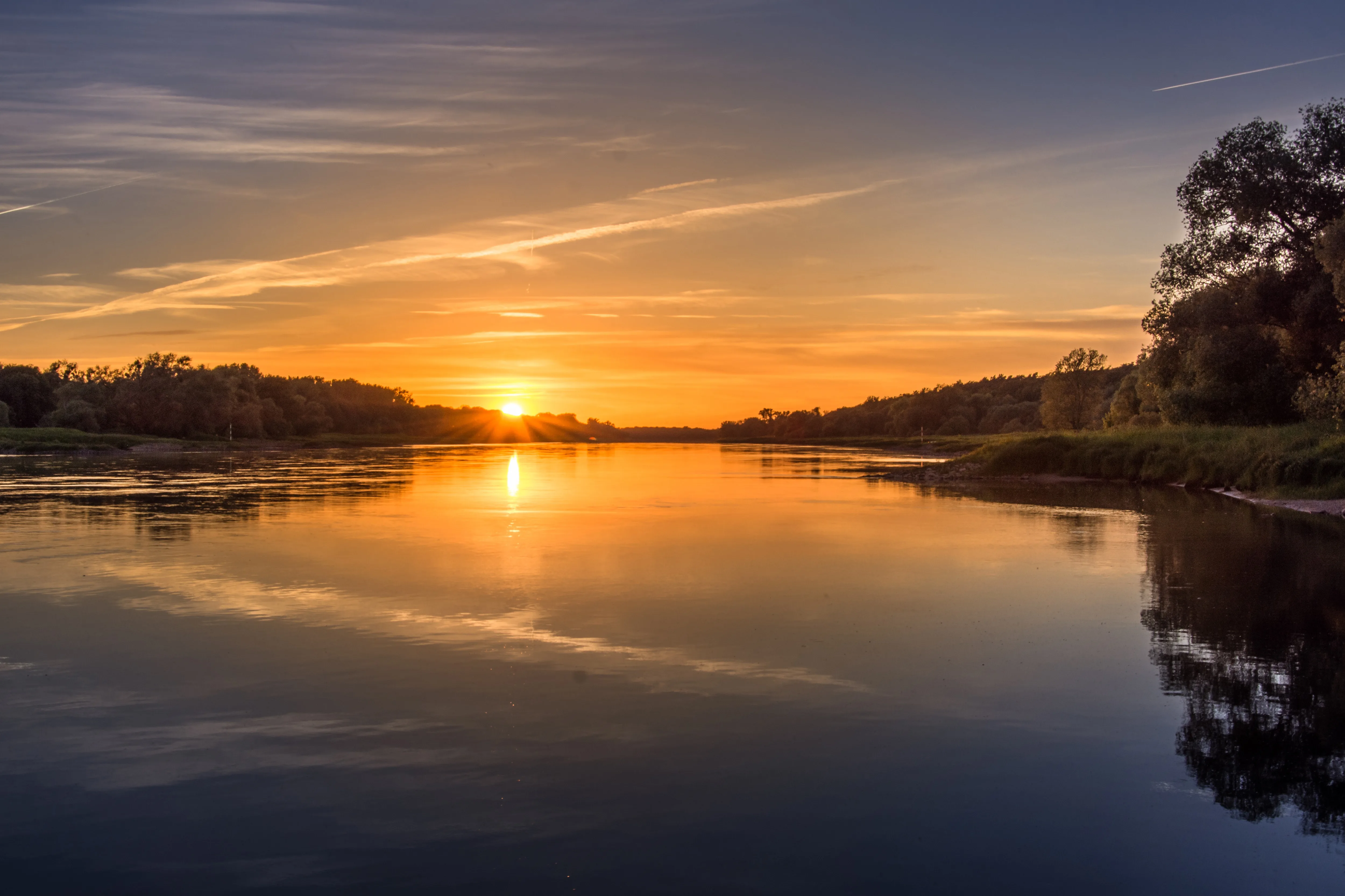 Riverside vegetation and open water near sunset