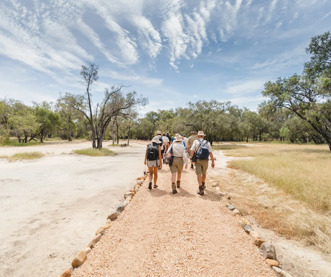 Guided nature walks